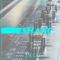 Shake - Single - Circa 71