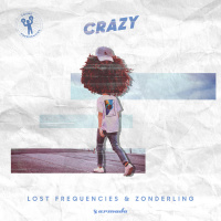 Crazy - Single - Lost Frequencies, Zonderling