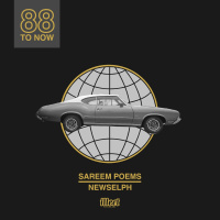No Fly Zone - Sareem Poems