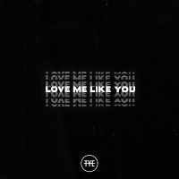 Love Me Like You - Single - The Young Escape