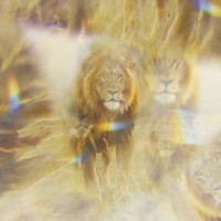 Jesus Song - Thrive Worship