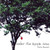 Under the Apple Tree by Katie Bennett