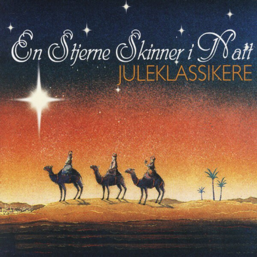 En stjerne skinner i natt by Various Artists