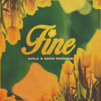 Fine (feat. Zach Paradis) - Avila
