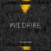 Wildfire - EP - Transform